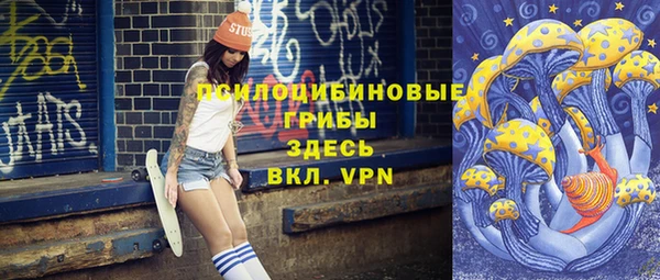 mdpv Киреевск