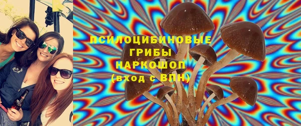 не бодяженный Киренск